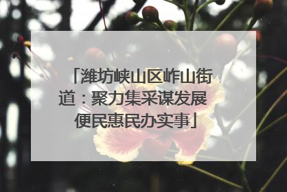 潍坊峡山区岞山街道：聚力集采谋发展 便民惠民办实事