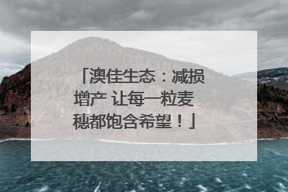 澳佳生态：减损增产 让每一粒麦穗都饱含希望！