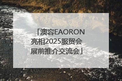 澳容EAORON亮相2025服贸会展前推介交流会