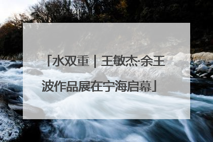 水双重｜王敏杰·余王波作品展在宁海启幕