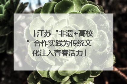 江苏“非遗+高校”合作实践为传统文化注入青春活力