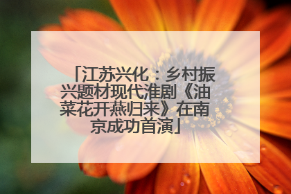 江苏兴化：乡村振兴题材现代淮剧《油菜花开燕归来》在南京成功首演