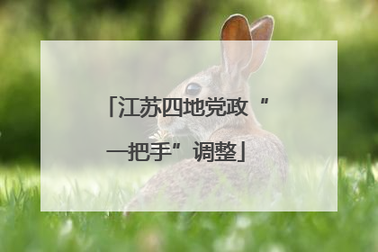 江苏四地党政“一把手”调整