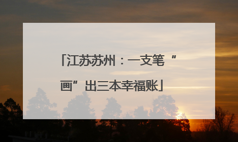 江苏苏州：一支笔“画”出三本幸福账