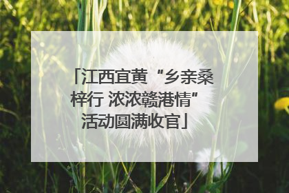 江西宜黄“乡亲桑梓行 浓浓赣港情”活动圆满收官