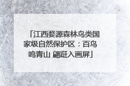 江西婺源森林鸟类国家级自然保护区：百鸟鸣青山 翩跹入画屏