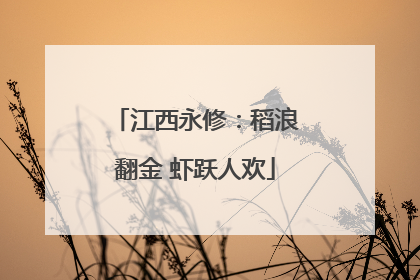江西永修：稻浪翻金 虾跃人欢