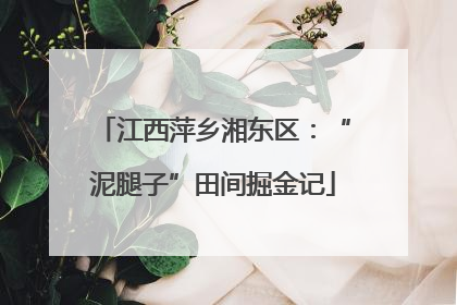 江西萍乡湘东区：“泥腿子”田间掘金记