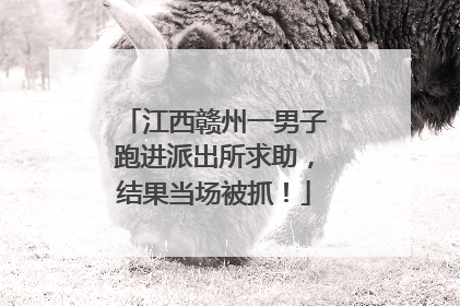 江西赣州一男子跑进派出所求助，结果当场被抓！