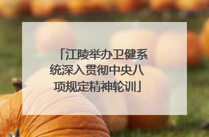 江陵举办卫健系统深入贯彻中央八项规定精神轮训