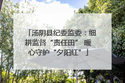 汤阴县纪委监委：细耕监督“责任田” 暖心守护“夕阳红”