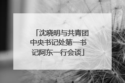 沈晓明与共青团中央书记处第一书记阿东一行会谈