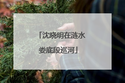 沈晓明在涟水娄底段巡河