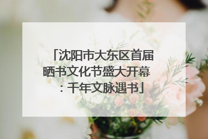 沈阳市大东区首届晒书文化节盛大开幕：千年文脉遇书