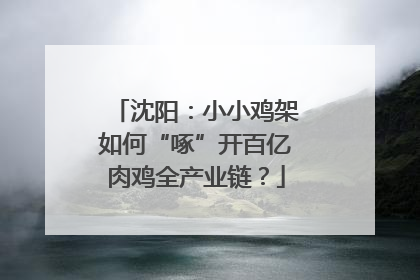 沈阳：小小鸡架如何“啄”开百亿肉鸡全产业链？