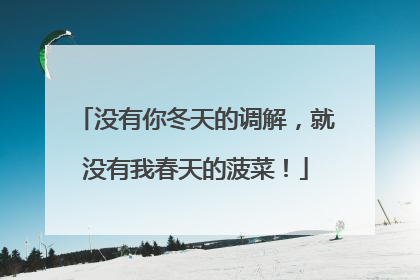没有你冬天的调解，就没有我春天的菠菜！