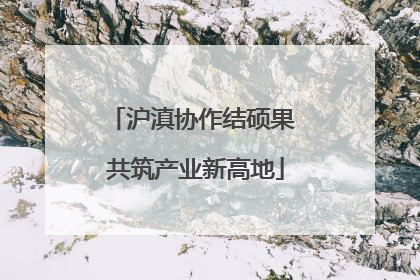 沪滇协作结硕果 共筑产业新高地