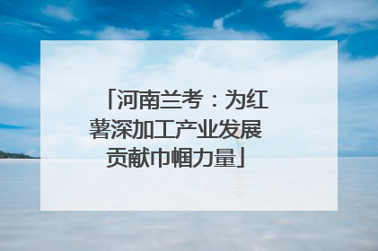 河南兰考：为红薯深加工产业发展贡献巾帼力量