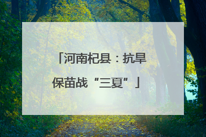 河南杞县：抗旱保苗战“三夏”
