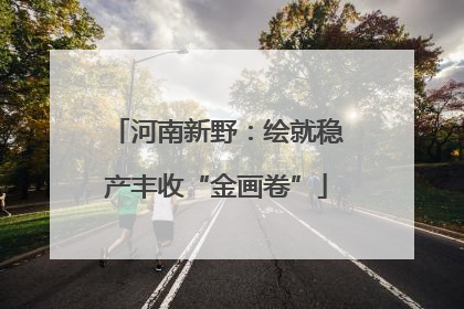 河南新野：绘就稳产丰收“金画卷”