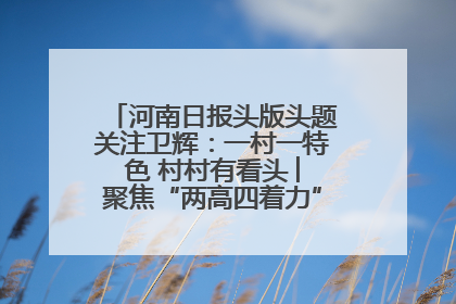 河南日报头版头题关注卫辉：一村一特色 村村有看头 ︳聚焦“两高四着力”·一“县”观察