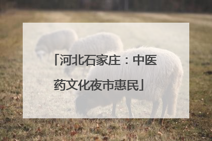 河北石家庄：中医药文化夜市惠民