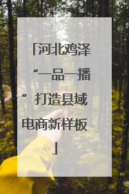 河北鸡泽“一品一播”打造县域电商新样板