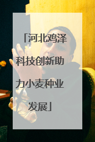 河北鸡泽科技创新助力小麦种业发展