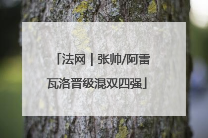 法网｜张帅/阿雷瓦洛晋级混双四强