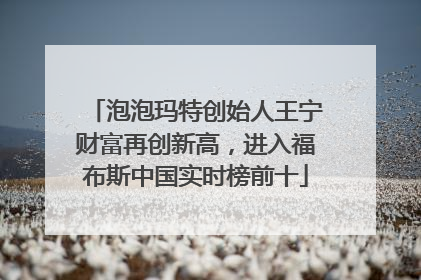 泡泡玛特创始人王宁财富再创新高，进入福布斯中国实时榜前十
