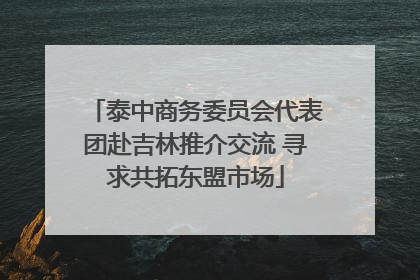 泰中商务委员会代表团赴吉林推介交流 寻求共拓东盟市场
