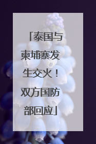 泰国与柬埔寨发生交火！双方国防部回应