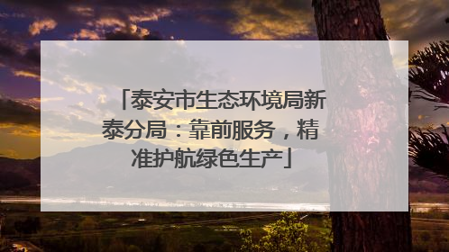 泰安市生态环境局新泰分局：靠前服务，精准护航绿色生产