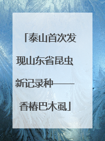 泰山首次发现山东省昆虫新记录种——香椿巴木虱