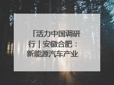 活力中国调研行｜安徽合肥：新能源汽车产业“加速跑”