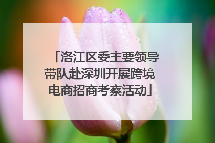 洛江区委主要领导带队赴深圳开展跨境电商招商考察活动