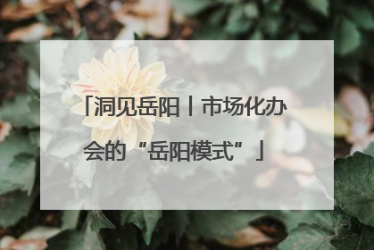 洞见岳阳丨市场化办会的“岳阳模式”