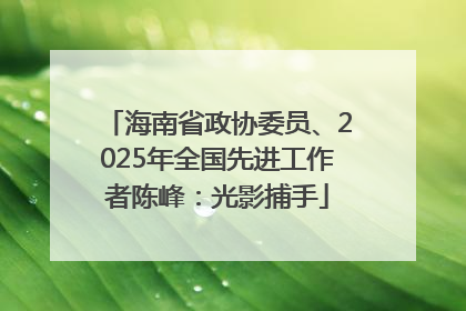 海南省政协委员、2025年全国先进工作者陈峰：光影捕手