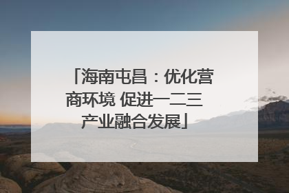海南屯昌：优化营商环境 促进一二三产业融合发展