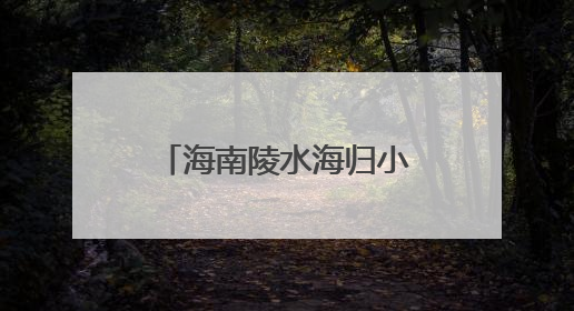 海南陵水海归小镇举办生态共建大会，数智赋能产业共创出海新未来
