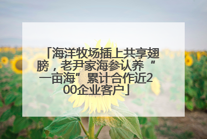 海洋牧场插上共享翅膀，老尹家海参认养“一亩海”累计合作近200企业客户