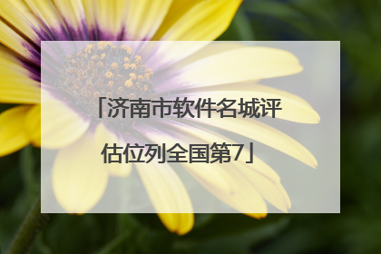 济南市软件名城评估位列全国第7