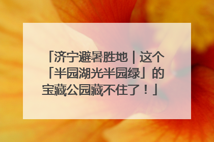 济宁避暑胜地｜这个「半园湖光半园绿」的宝藏公园藏不住了！