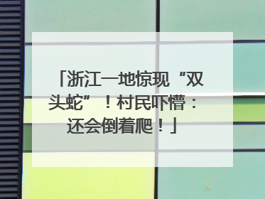 浙江一地惊现“双头蛇”！村民吓懵：还会倒着爬！