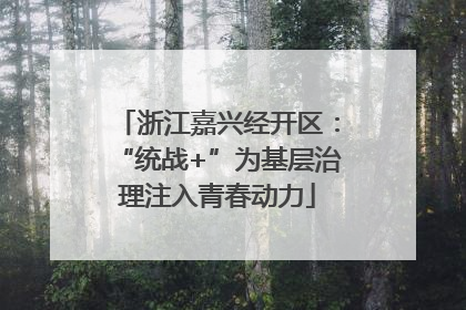 浙江嘉兴经开区：“统战+”为基层治理注入青春动力