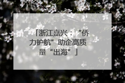 浙江嘉兴：“侨力护航”助企高质量“出海”