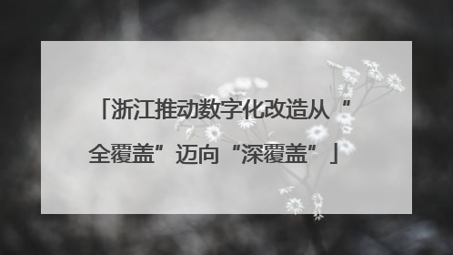 浙江推动数字化改造从“全覆盖”迈向“深覆盖”