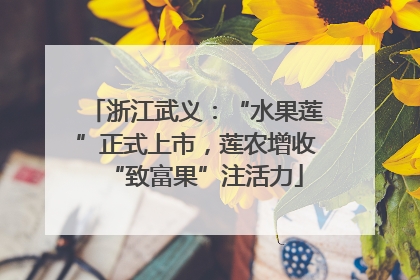 浙江武义：“水果莲”正式上市，莲农增收“致富果”注活力