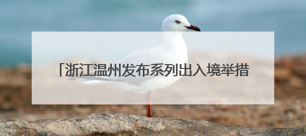 浙江温州发布系列出入境举措 为企业出海增底气添动力
