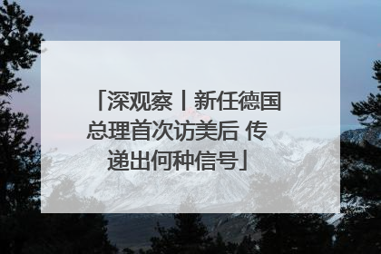 深观察丨新任德国总理首次访美后 传递出何种信号